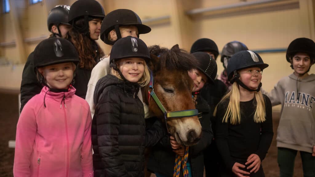 En grupp tjejer står runt en brun ponny, i NFKs ridhus.